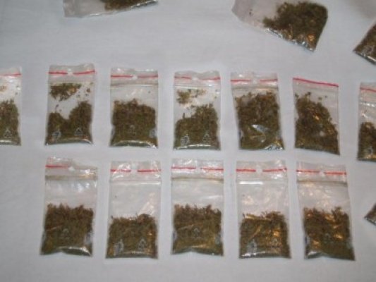 Descinderi: 23 de mii de plicuri cu droguri, descoperite de poliţişti la Constanţa